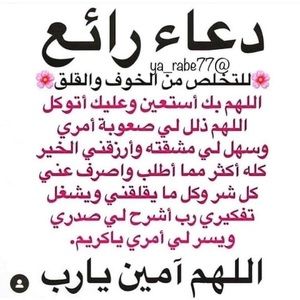 Meet your Posher, Yousef